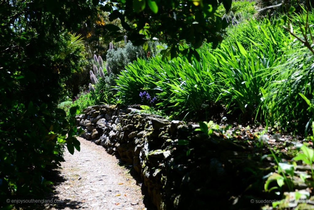 In Overbeck's Garden (Devon)