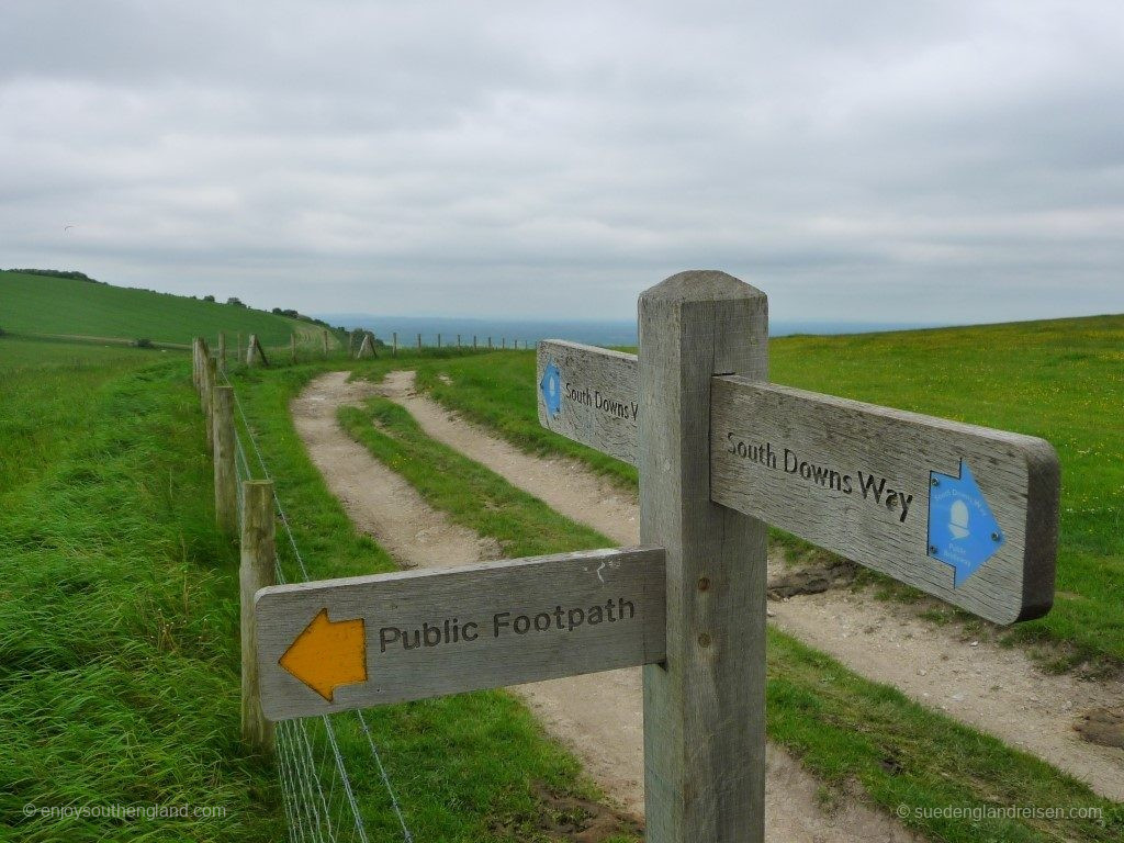 out on the South Downs Way