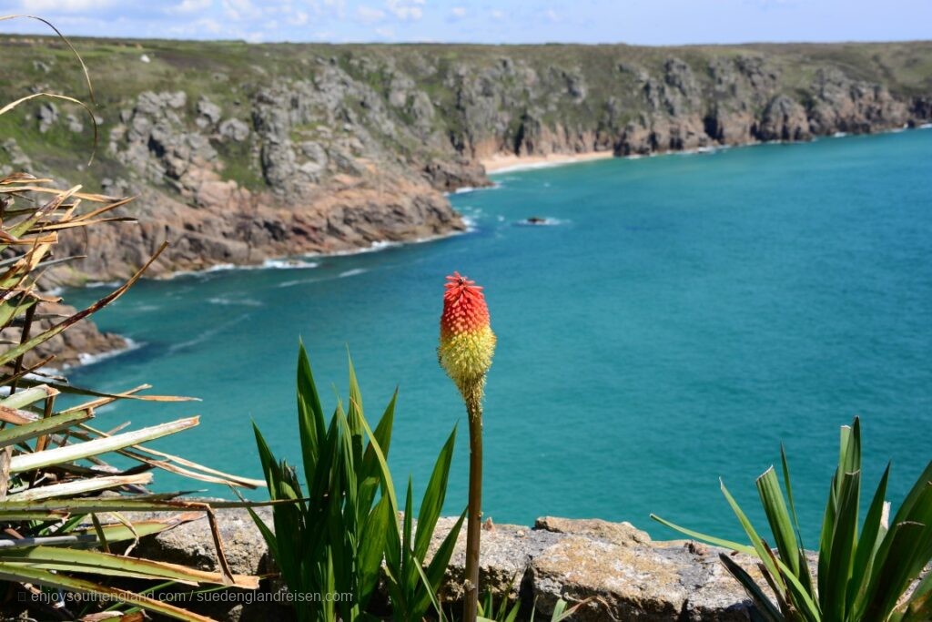 Porthcurno in Cornwall has beautiful bays and the open-air 