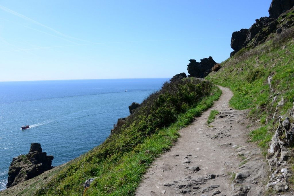 On the cliffs at Salcombe (Devon)