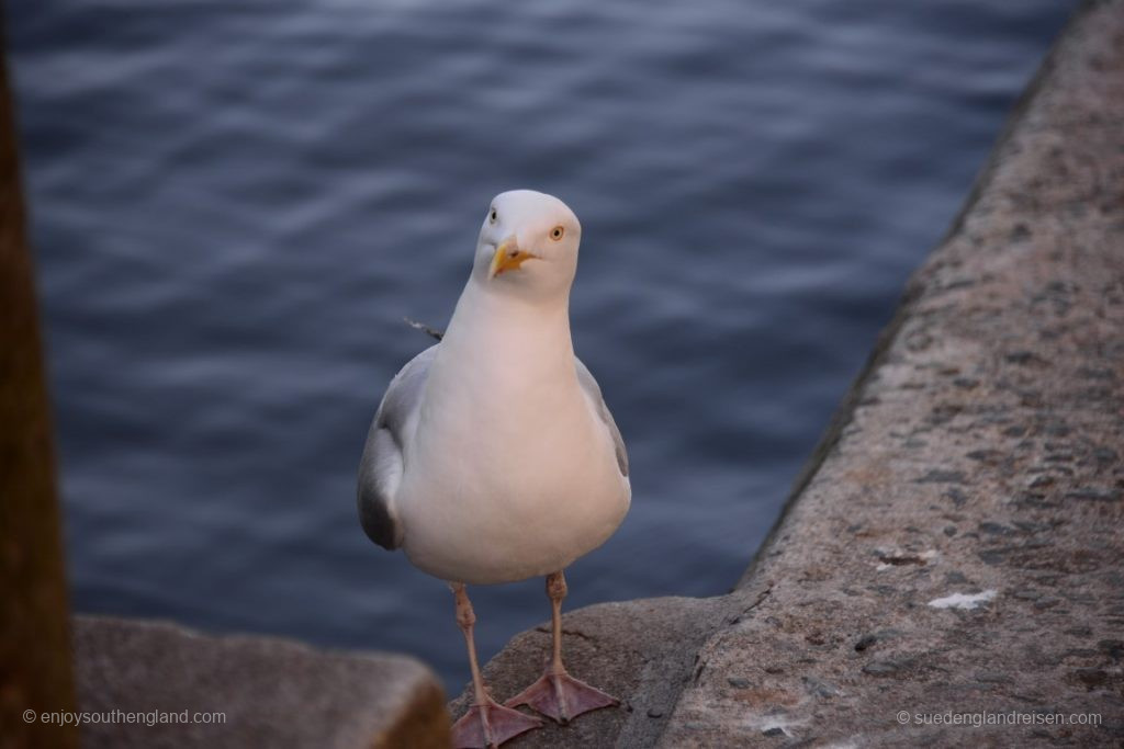 The locals are very interested in a foreign photographer