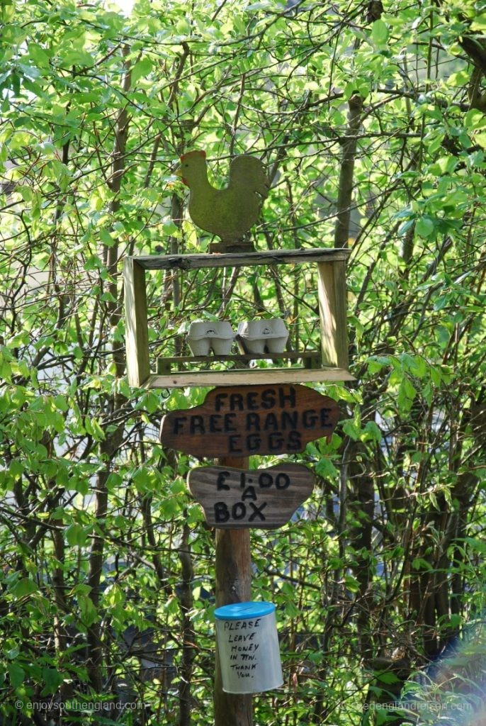 Sale on Trust – here it’s fresh free range eggs