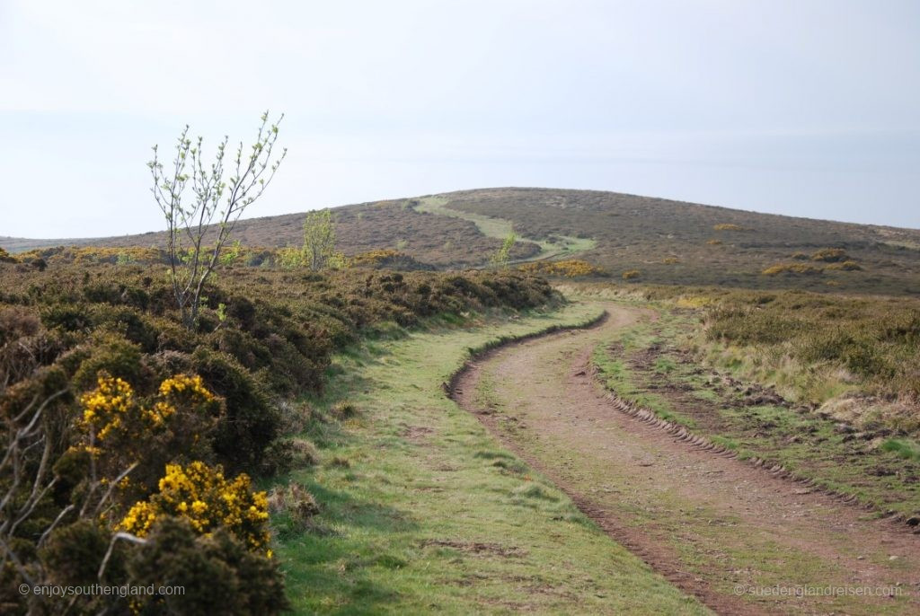 On top of Selworthy Beacon