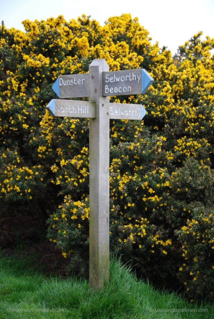 Impossible to get lost: Everything is well signposted here at Selworthy Beacon