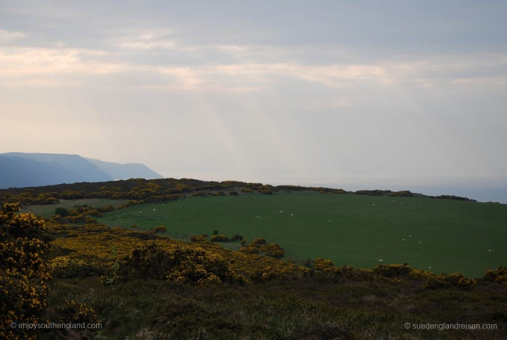 On top of Selworthy Beacon