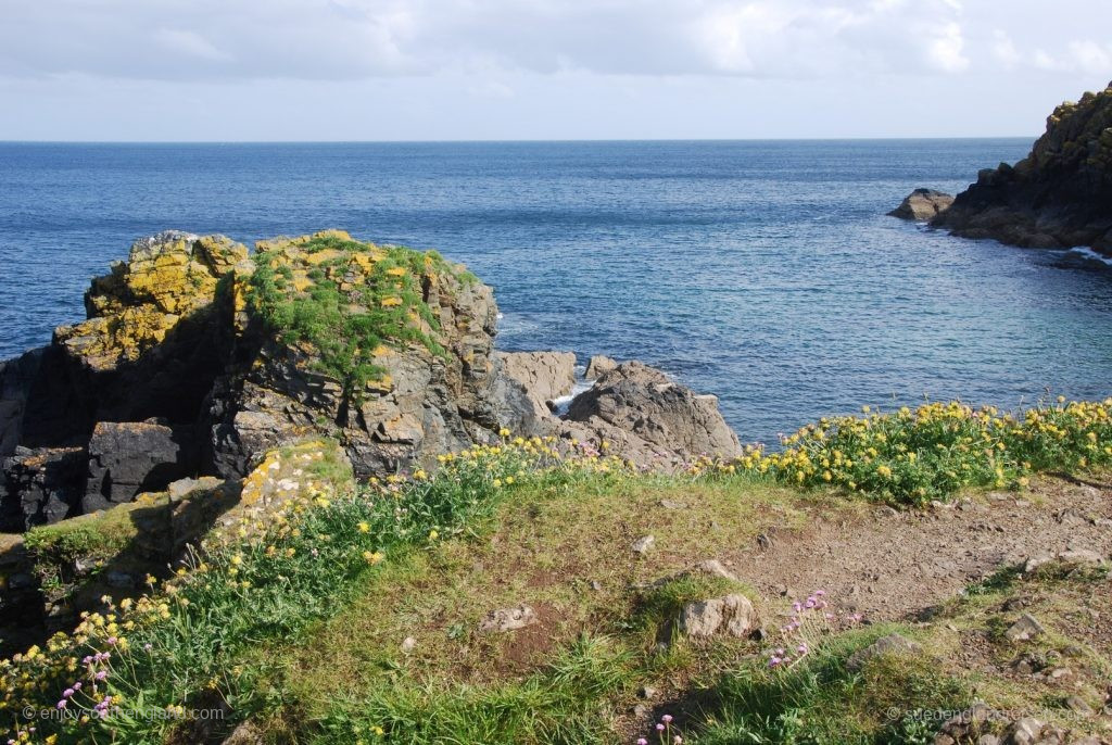 Cadgwith - View out to sea