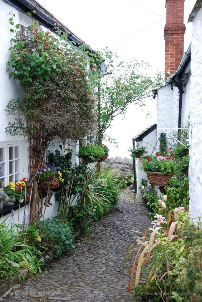 lush floral decorations despite being narrow in Clovelly (Devon)