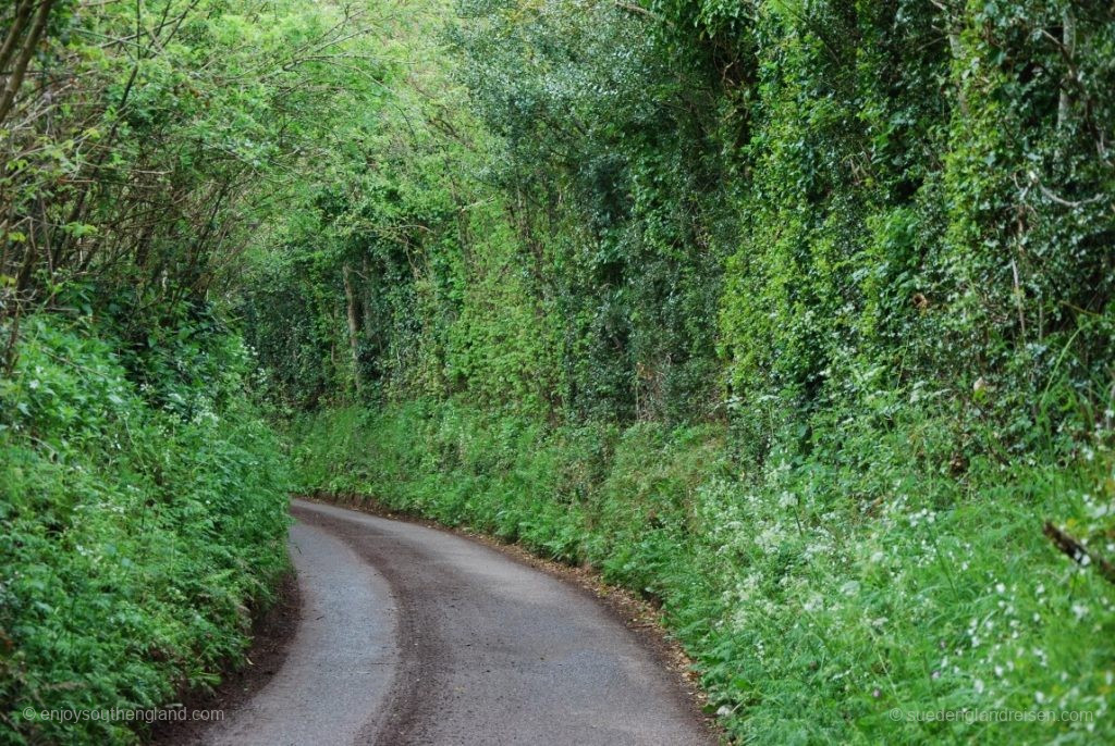 A typical country road – with only slightly limited visibility!