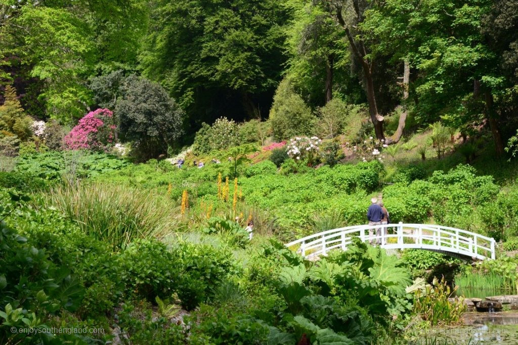 View of Trebah Garden from below
