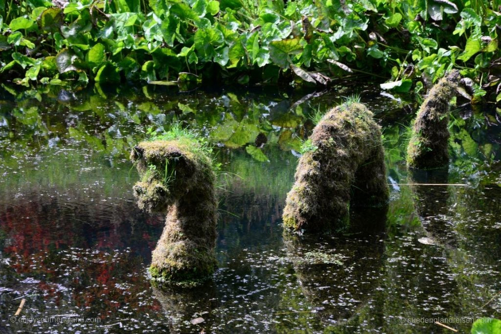 Even Nessie from Scotland spent his summer holidays at Trebah Garden in Cornwall