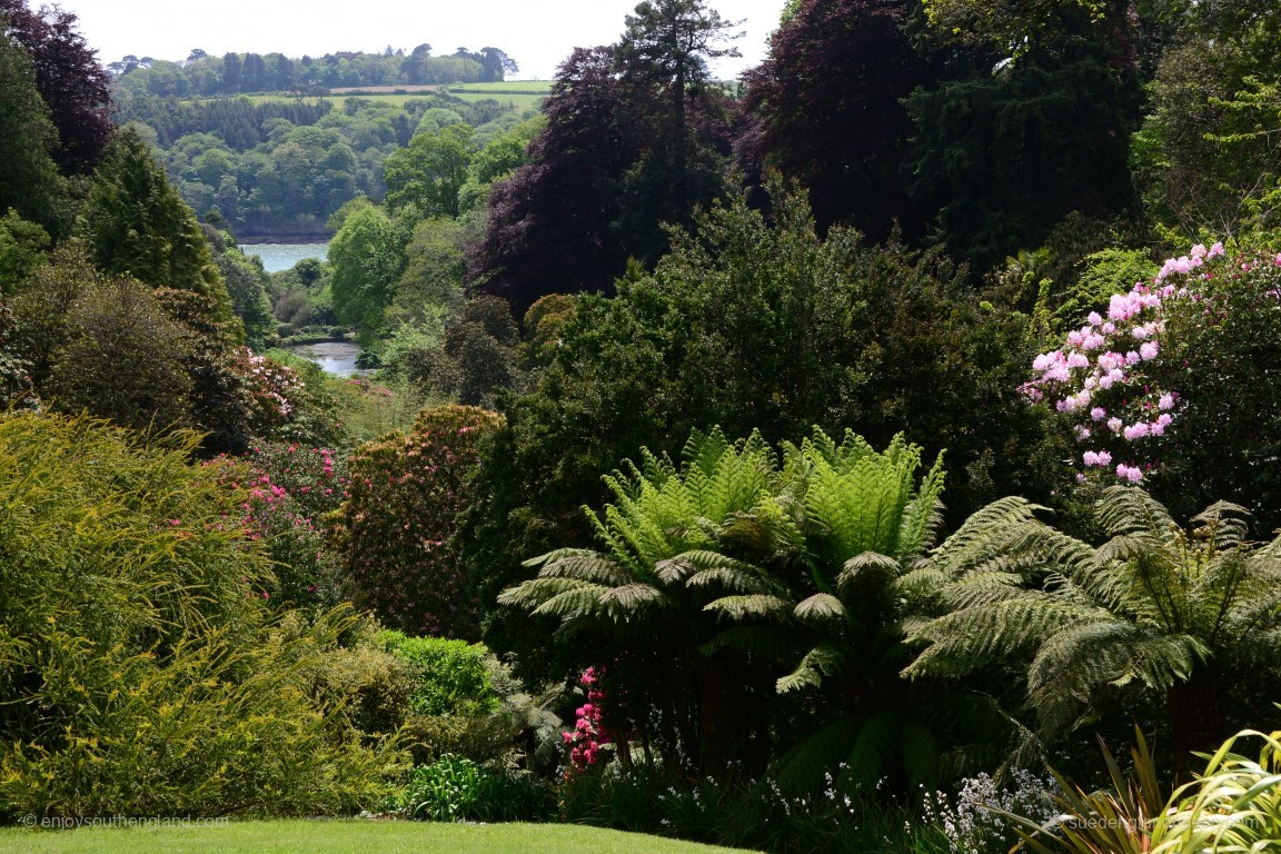 Trebah Garden is one of those Cornish gardens with a special microclimate and is located in a small valley towards the sea