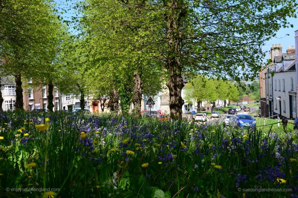 Newnham on Severn