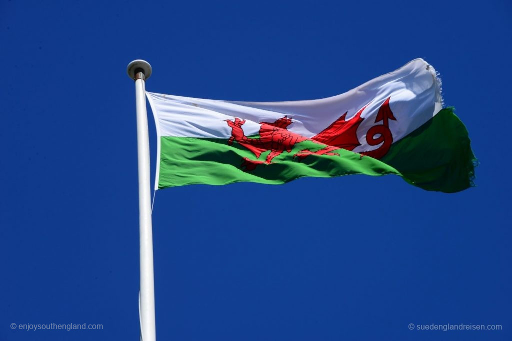 The flag of Wales: The Welsh lion on a white and green background
