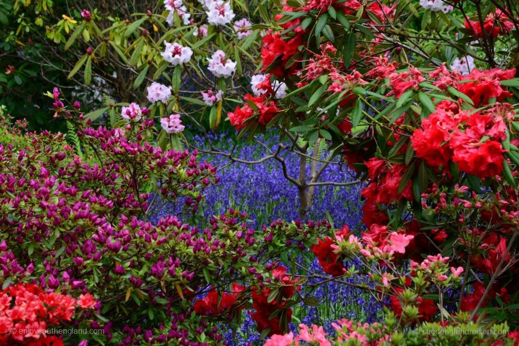 Wales Anglessey Hidden Gardens