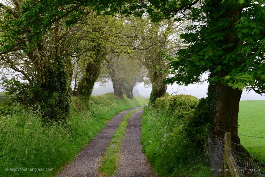 Wales - A foggy day on Anglesey 