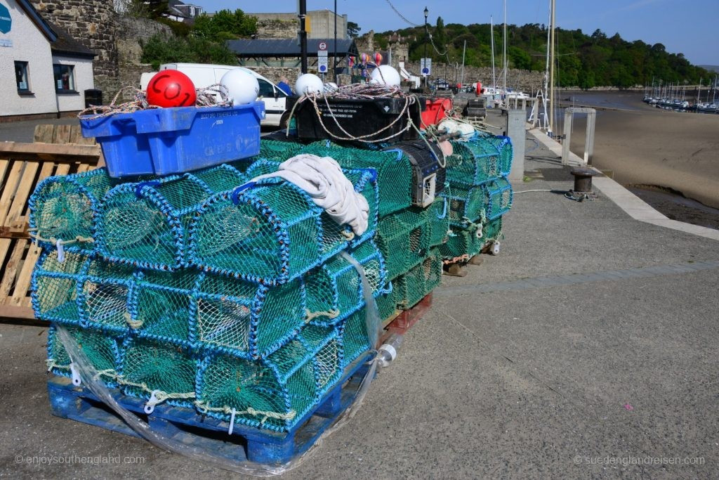Wales - At Conwy Harbor 