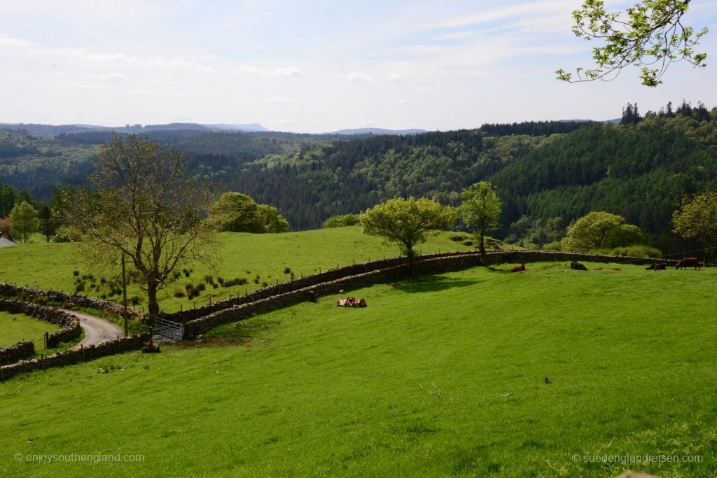 Wales - Gwydir Forest 