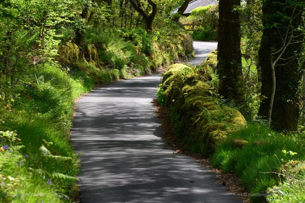 Wales - Gwydir Forest 