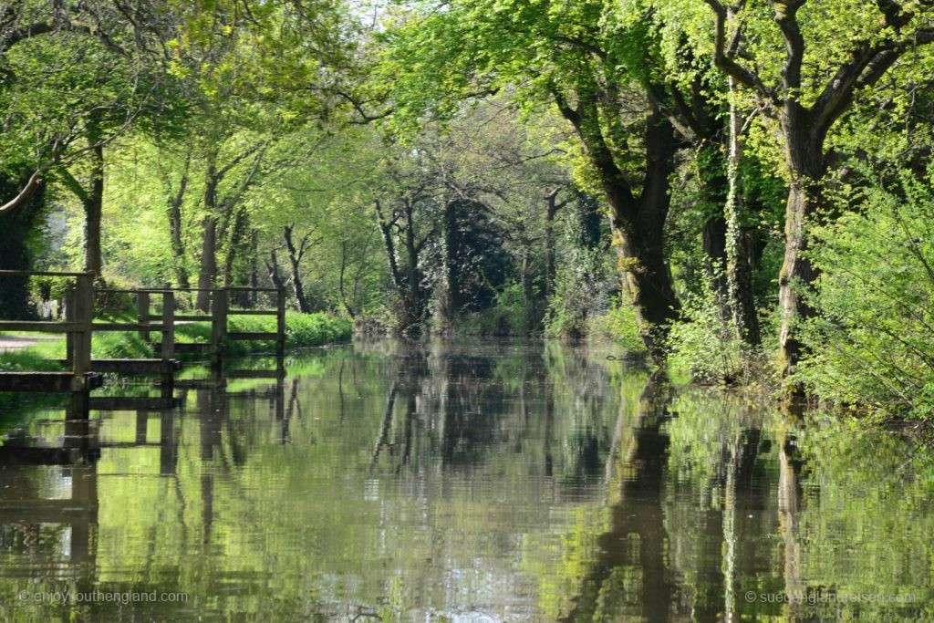 idyllic atmosphere on the Brecon Canal