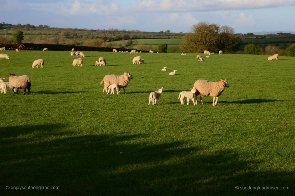 Wales