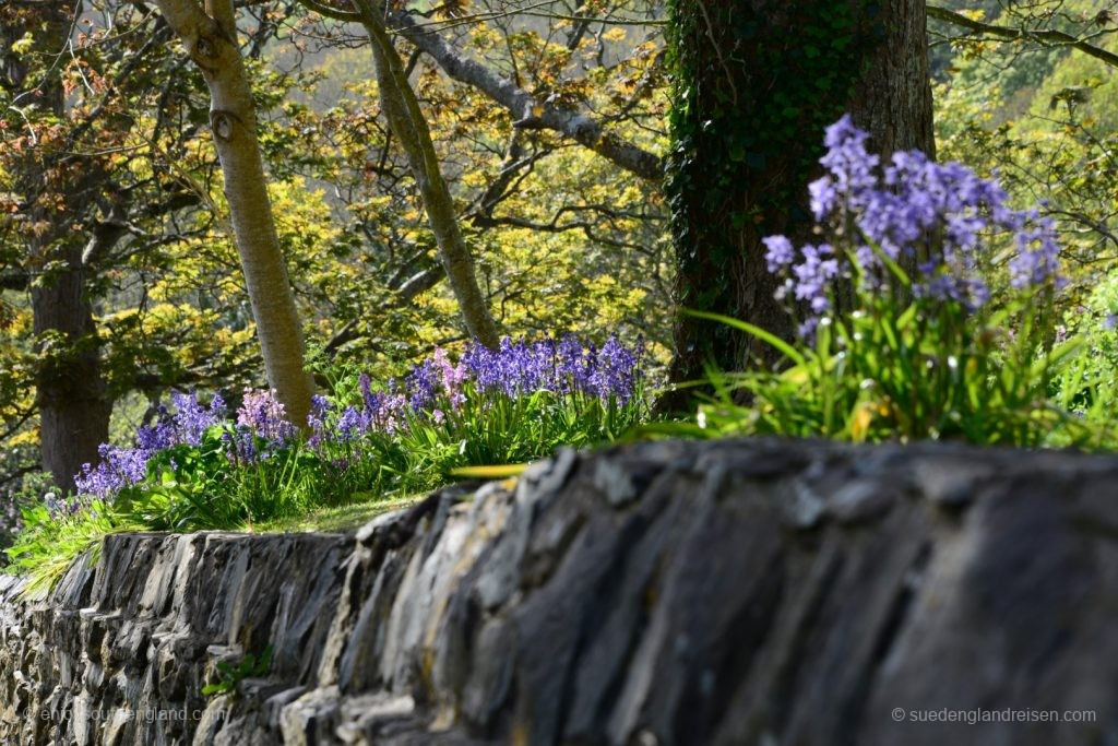  Wales
