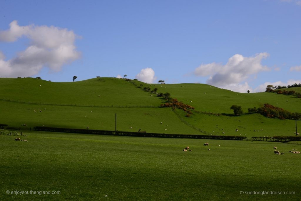 Welsh landscape north of Aberystwyth
