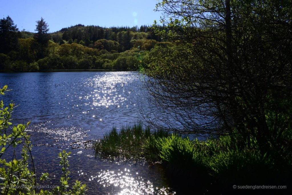 Wales -Llyn Mair 