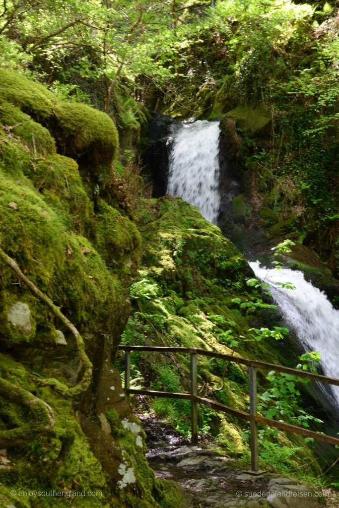 Wales - Dolgoch Falls 