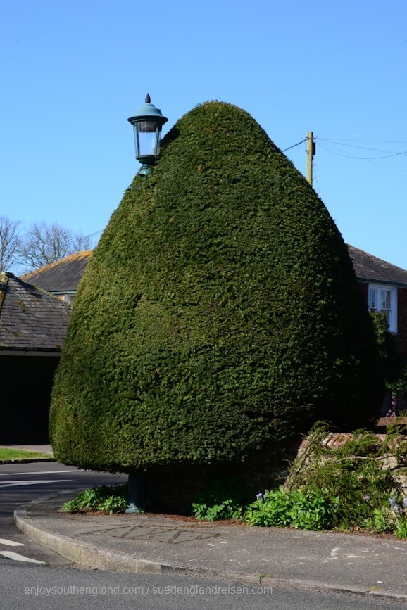 Street lamp or tree? That is the question here in Winchelsea (East Sussex)