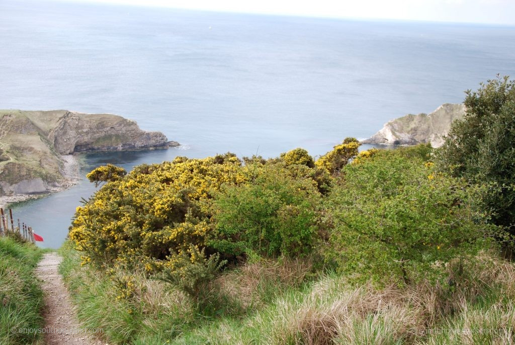 Lulworth Cove from above