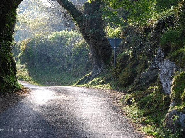 Road Trips & Itineraries
