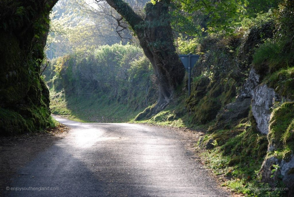 in Dartmoor