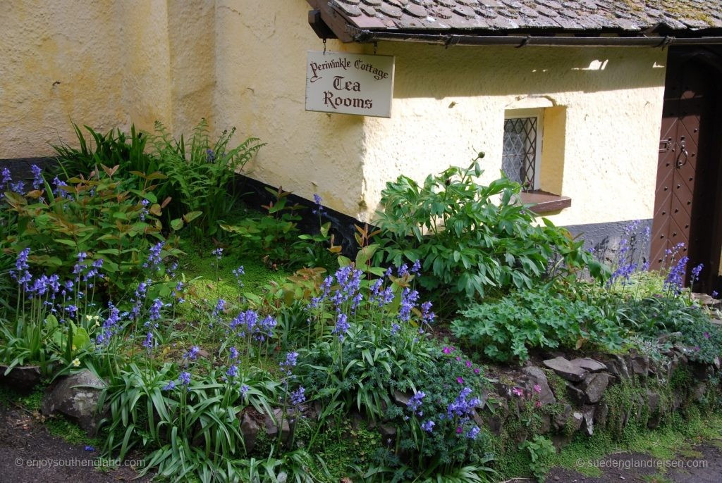 Destination reached after longing for a cream tea: Periwinkle Cottage in Selworthy (Somerset)