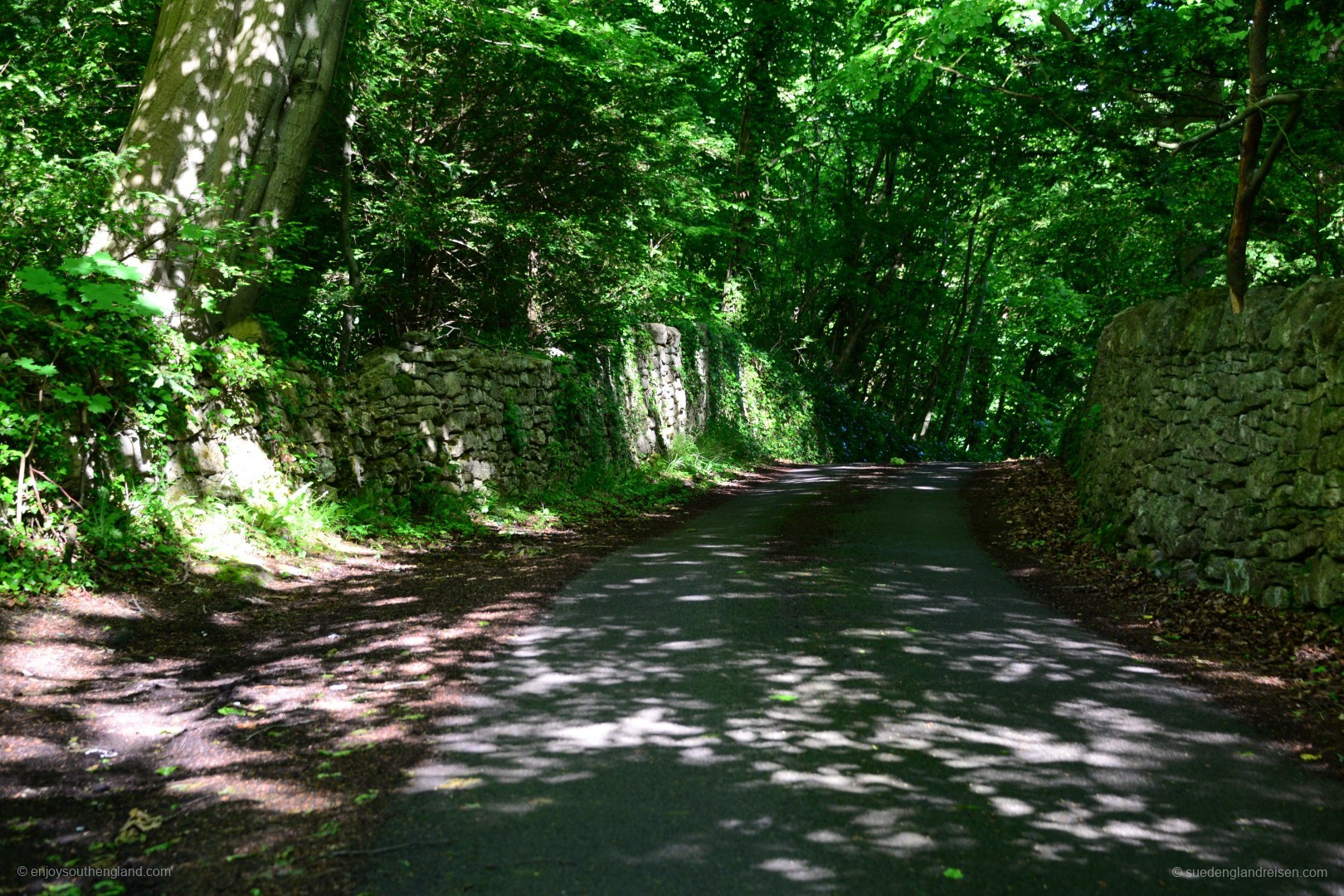 Country Roads in Southern England – it’s like going through a sort of green hell!